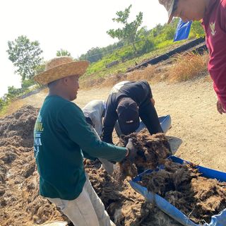 Mahasiswa mengangkat tanah ke keranjang saat praktik lapangan